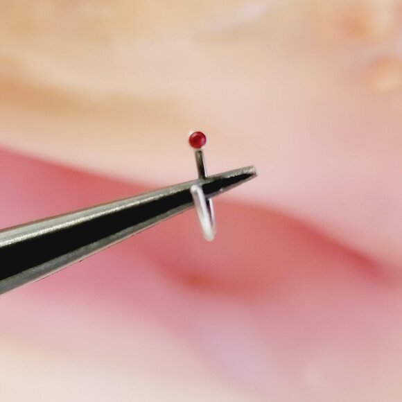 18G hoop nose ring- 2mm ruby red gem NWT birthstone - Picture 4 of 4